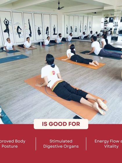 Aikia Yogashala - Yoga Teacher Training Asana Library: Know Your Poses photo 15