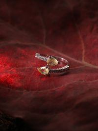 Commercial & Product Photography