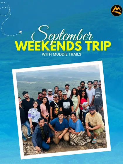 This could be you and your new travel fam. Most people join our trips solo and leave with a phone full of new contacts and memories. Here's our crew taking in the view from a mountain top.