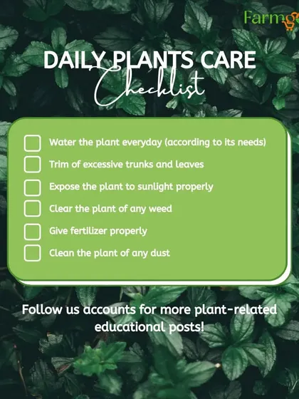 Here is a simple daily plant care checklist to keep your garden healthy. It covers watering, trimming, sunlight, weeding, fertilizing, and cleaning.