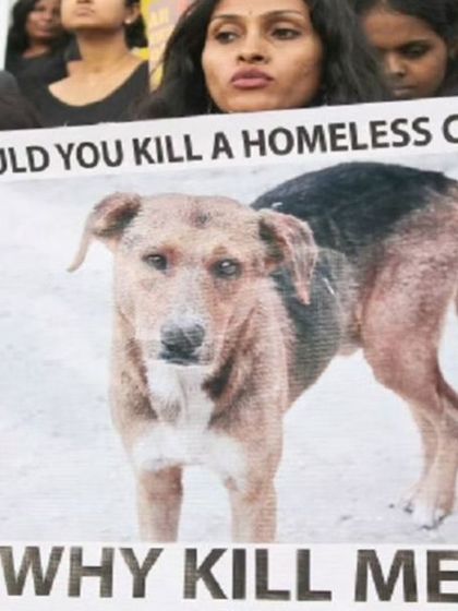 Would you kill a homeless child? Then why kill me? This poster from a protest asks the question that society needs to answer. We hold up these images to force people to confront the cruelty.