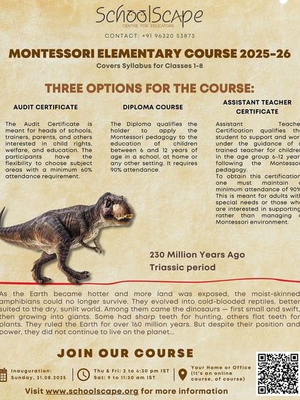 Choose the certification that fits your journey. Our Elementary Course offers options for a full Diploma, an Audit Certificate, or an Assistant Teacher Certificate.