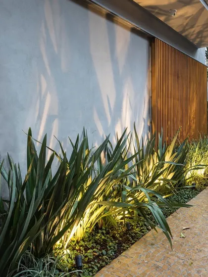 Uplighting can dramatically highlight your plants at night. I installed ground-level lights to cast shadows and showcase the texture of these architectural plants against the wall.