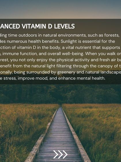 Walking in a forest helps your body produce Vitamin D from sunlight filtered through the canopy. This vital nutrient supports bone health and immune function.
