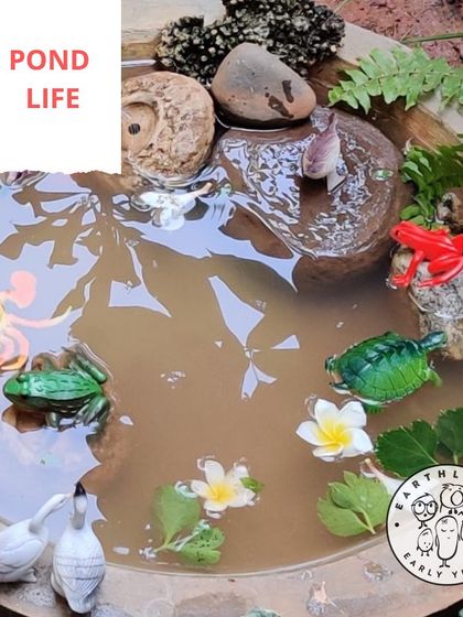 Earthlings Early Years - Preschool & Daycare Learning in Nature's Classroom photo 3