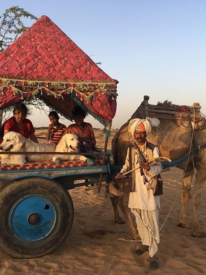 Deepthi - Dog Travel & Adventure Coaching On The Road: Mastering Indian Travel photo 16