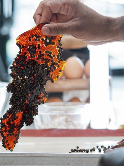 A chef holds up a brittle made with peppercorns, showcasing an experimental texture and flavor combination for a chocolate dish.