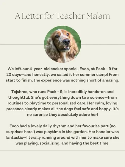 We love getting 'letters' from our furry students. This note from Evoo's family highlights what we strive for: a science-based routine, personalized care, and lots of playtime. Knowing we provide peace of mind for pet parents is our greatest reward.