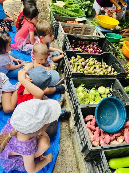 Knowledge Origin - Preschool & Kindergarten Programs Learning Beyond Our Walls: Field Trips & Nature Exploration photo 57