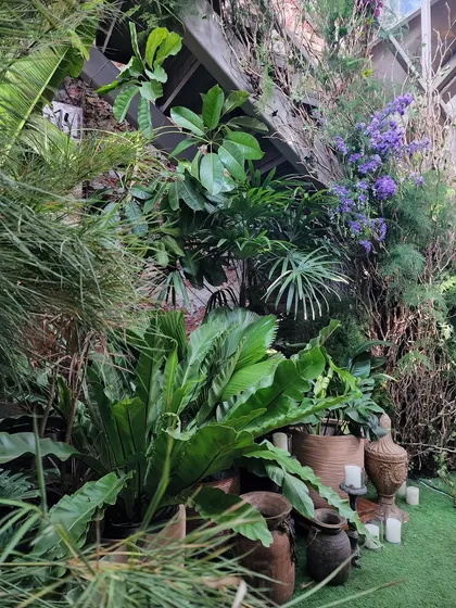 A closer look at the rich textures we used to create our "wild forest" vibe. We layered a variety of ferns, palms, and leafy plants in rustic terracotta and earthenware pots, adding candles to create a warm, inviting, and densely green corner for guests to discover.