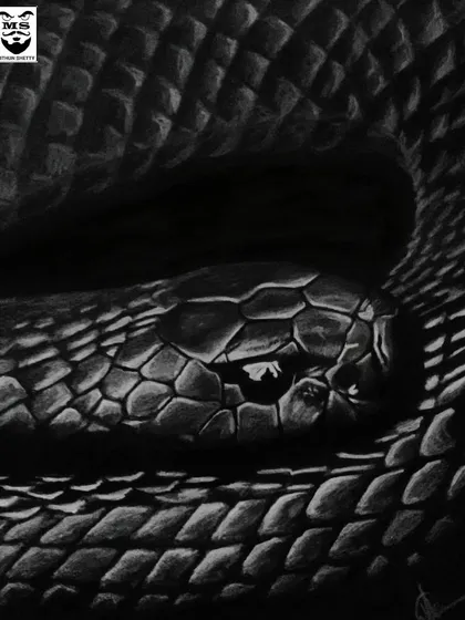 A black cobra drawn with color pencils on black paper. Using a dark background allows the subtle highlights on the scales to stand out, creating a dramatic and menacing effect.