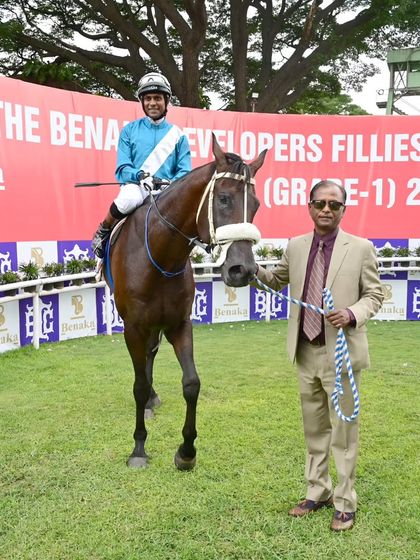 'Shamrock', winner of The H.H. Krishnaraja Wadiyar Cup.