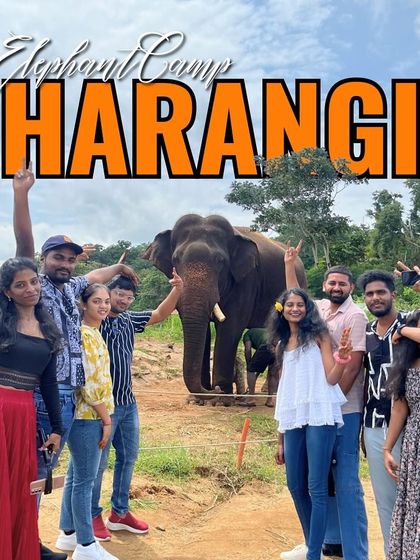 Our group posing with an elephant at the Harangi camp. A truly memorable moment from our Coorg adventure.