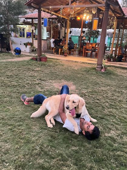 Poochkoo Mutts & Nutts - Dog-Friendly Cafe & Events Splash & Play: Pool and Off-Leash Fun photo 3