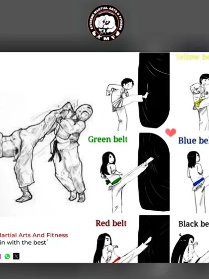 An illustration showing the progression of a kick through the different belt levels, symbolizing growth and skill.