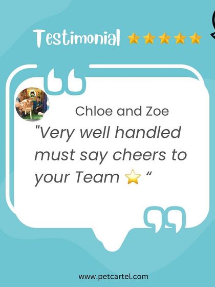 Pet Cartel - Mobile Pet Grooming Happy Tails: Customer Stories photo 4