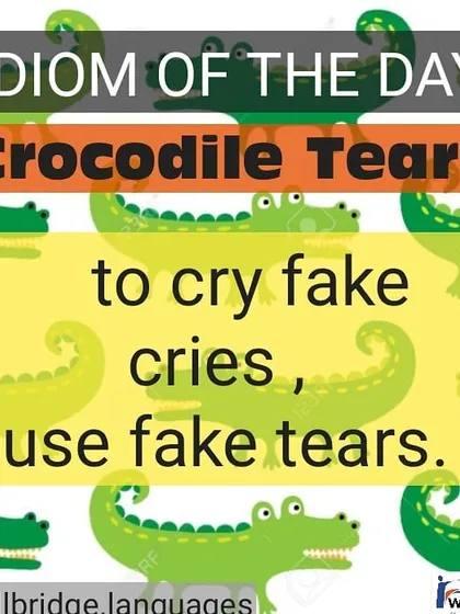 Using idioms correctly can make your English sound more natural. Here is a simple graphic explaining 'crocodile tears', a common idiom you might hear or use.