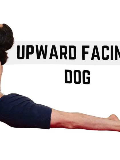 Urdhva Mukha Svanasana, or Upward-Facing Dog, is a powerful backbend that opens the chest and energizes the mind. It requires arm strength and a flexible spine.