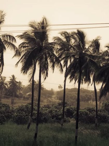 Zahid Moledina - Photography Travel & Architecture photo 27