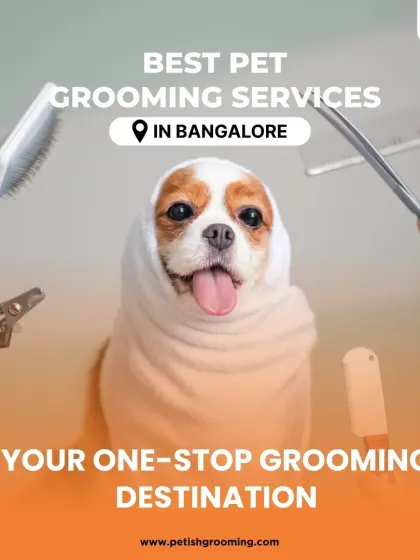 Petish Grooming - Mobile Grooming for Dogs & Cats Our Full Grooming Process photo 15