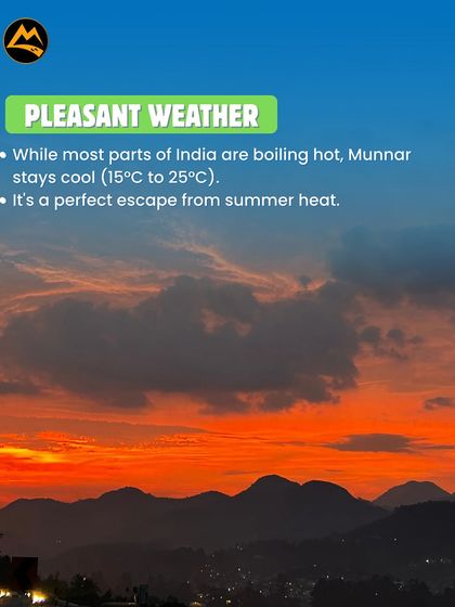 While other places are hot, Munnar stays cool and pleasant. It's the perfect summer escape I plan for groups from Bangalore and beyond.