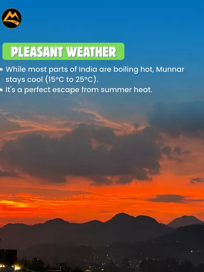 While other places are hot, Munnar stays cool and pleasant. It's the perfect summer escape I plan for groups from Bangalore and beyond.