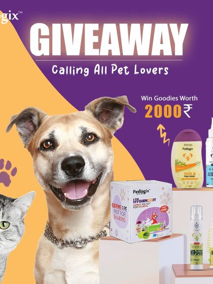 I enjoy hosting giveaways to treat my clients. This graphic announced a giveaway for a prize bundle worth ₹2000, including some of my most popular grooming products for both dogs and cats.