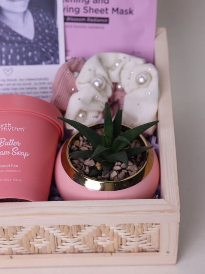 A small succulent in a pink pot and pearl-studded scrunchies add a touch of style and nature to this sister-themed hamper.