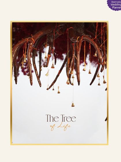 Breathtaking Wedding Ceremonies photo 11