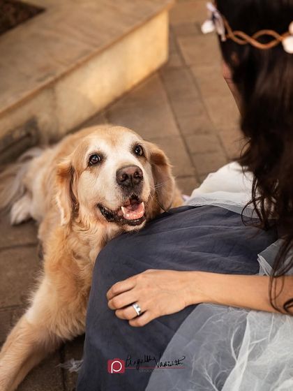 Pragalbh - Fine Art Pet Photography Family & Me photo 27