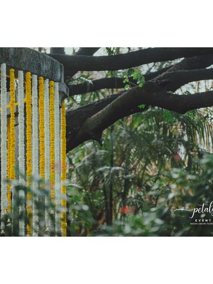 Petals - Wedding Decoration & Styling Venue Transformations & Ambiance photo 51