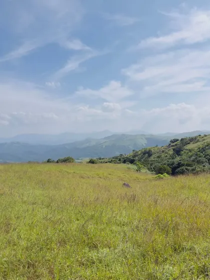 The vast, open grasslands of Narasimha Parvatha.