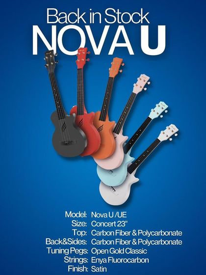 The Chords Music - Musical Instrument & Equipment Sales Acoustic Guitars & Ukuleles photo 13