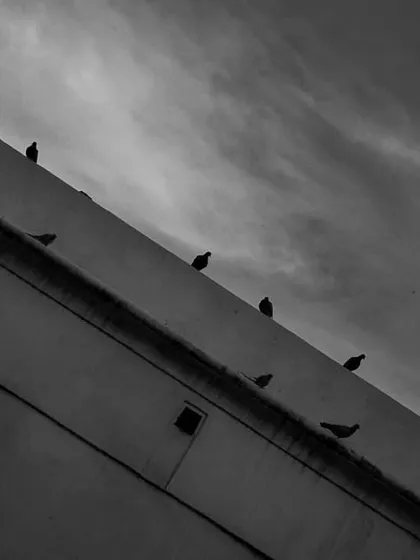 A flock of birds sits in a diagonal line on the edge of a building against a cloudy sky. This minimalist black and white photo is a visual metaphor for moving on, one step at a time.