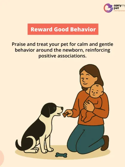 CarryMyPet - Pet Travel & Parenting Consultation Pet Parenting & Wellness photo 5