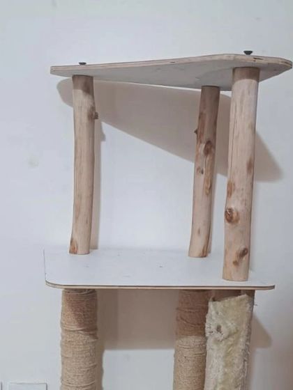 Prototyping a cat tree using different materials. Here, I'm comparing the sturdiness of natural Eucalyptus pillars against traditional options and testing pre-laminated plywood for easy cleanup.