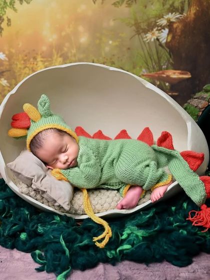 A sleeping dinosaur in its nest. This side-angle view of our popular dinosaur theme shows the little one peacefully dreaming in his egg.