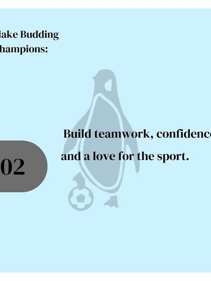 We help make budding champions. Our program is designed to build teamwork, confidence, and a true love for the sport in a positive environment.
