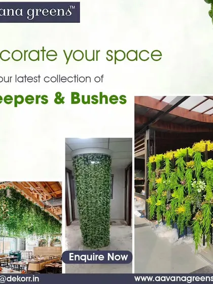 Decorate your space with our latest collection of creepers and bushes. This collage shows how they can be used to cover pillars, create hanging gardens, or design unique wall art.