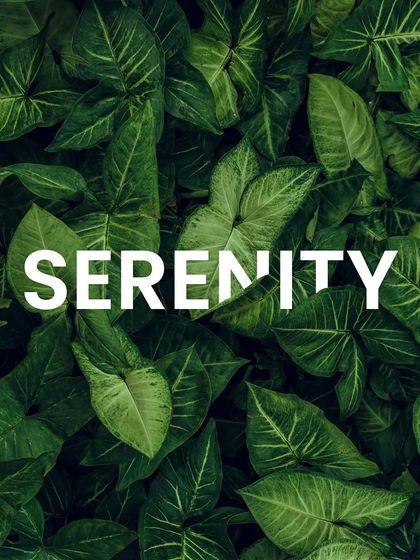 Serenity is not an abstract feeling; it is a designed outcome. We create landscapes that bring peace, beauty, and balance, allowing your everyday spaces to become a source of calm.