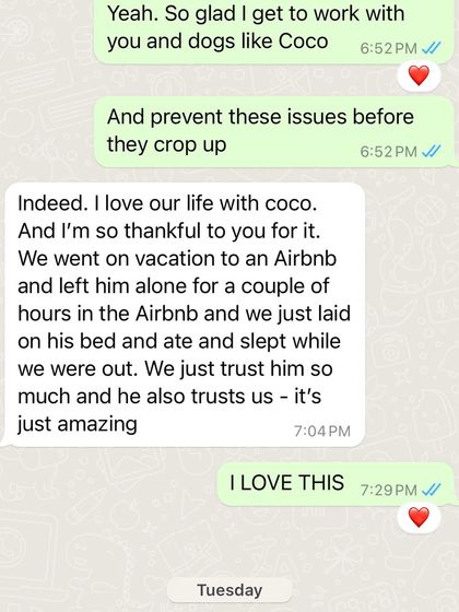 Confident Dogs - Puppy Foundation Program Client Transformations & Testimonials photo 15