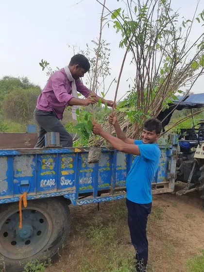 Our team members unloading young trees from a truck during a greening initiative. The enthusiasm and dedication of our team make these large-scale projects possible.