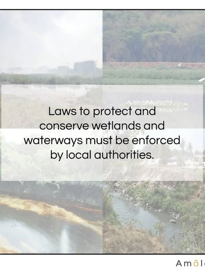 The health of our wetlands and waterways is critical for flood prevention. These images show the current state of neglect. I advocate for the enforcement of conservation laws and design projects that help restore these vital ecosystems.