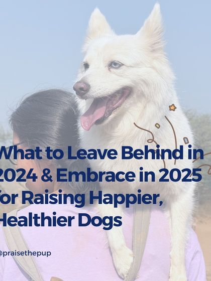 As we move forward, let's leave behind outdated training myths and embrace a kinder, more informed approach to raising our dogs. This graphic is a reminder of the positive changes we can make for a happier, healthier life with our companions.