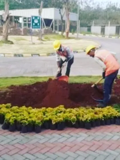 Our team at work on a landscaping project for L&T. Here, they are preparing the soil and laying out new plants, demonstrating the initial stages of a large-scale corporate landscaping job.
