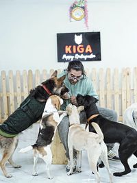 Dog Behavior & Training