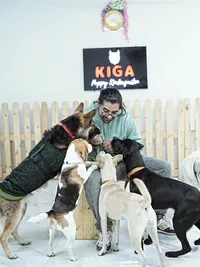 Dog Behavior & Training