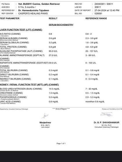 PL Paws - Animal Rescue & Rehabilitation How Your Donations Help: Our Medical Cases photo 10