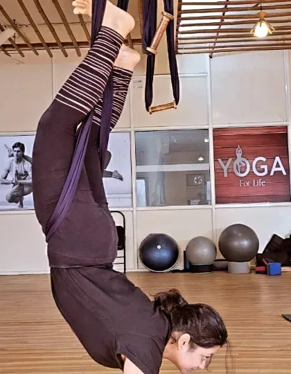 This student practices an inversion with the aerial hammock supporting her hips. Inversions in aerial yoga are fantastic for improving circulation and building confidence in a safe, supported way.
