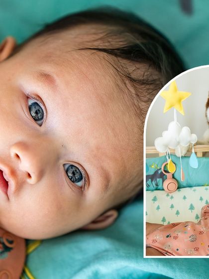 Pawparazzi By Prathima - Maternity & Newborn Photography with Pets Newborns & Their Furry Guardians photo 6